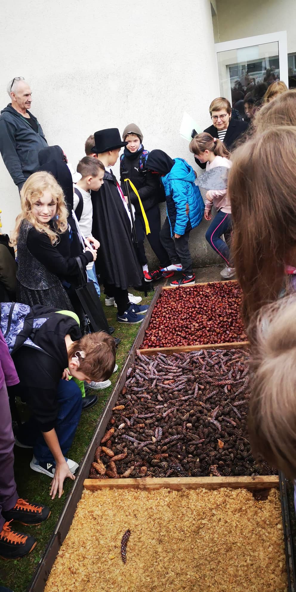 309354016_814609213109401_7585269559897470796_n