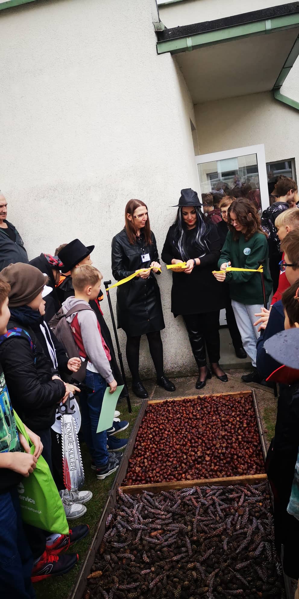 313023156_446985737349146_7752947284393662638_n