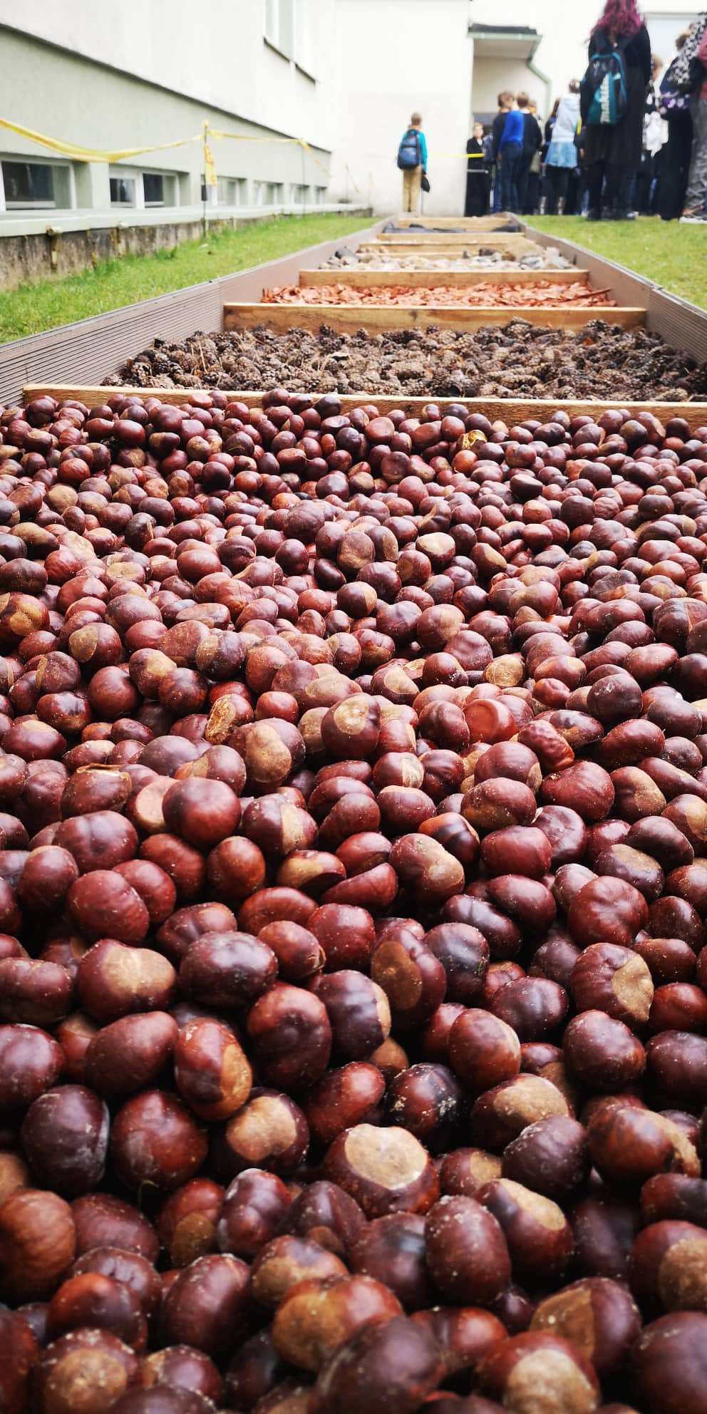 313039555_643430533986680_6049926746122590714_n