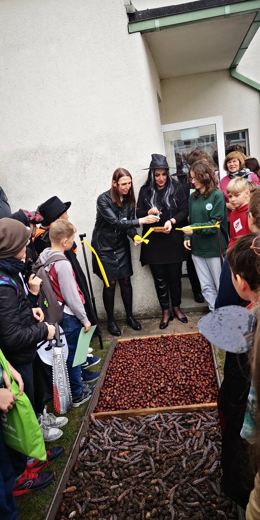 313101055_599049758640316_1048466360634054630_n