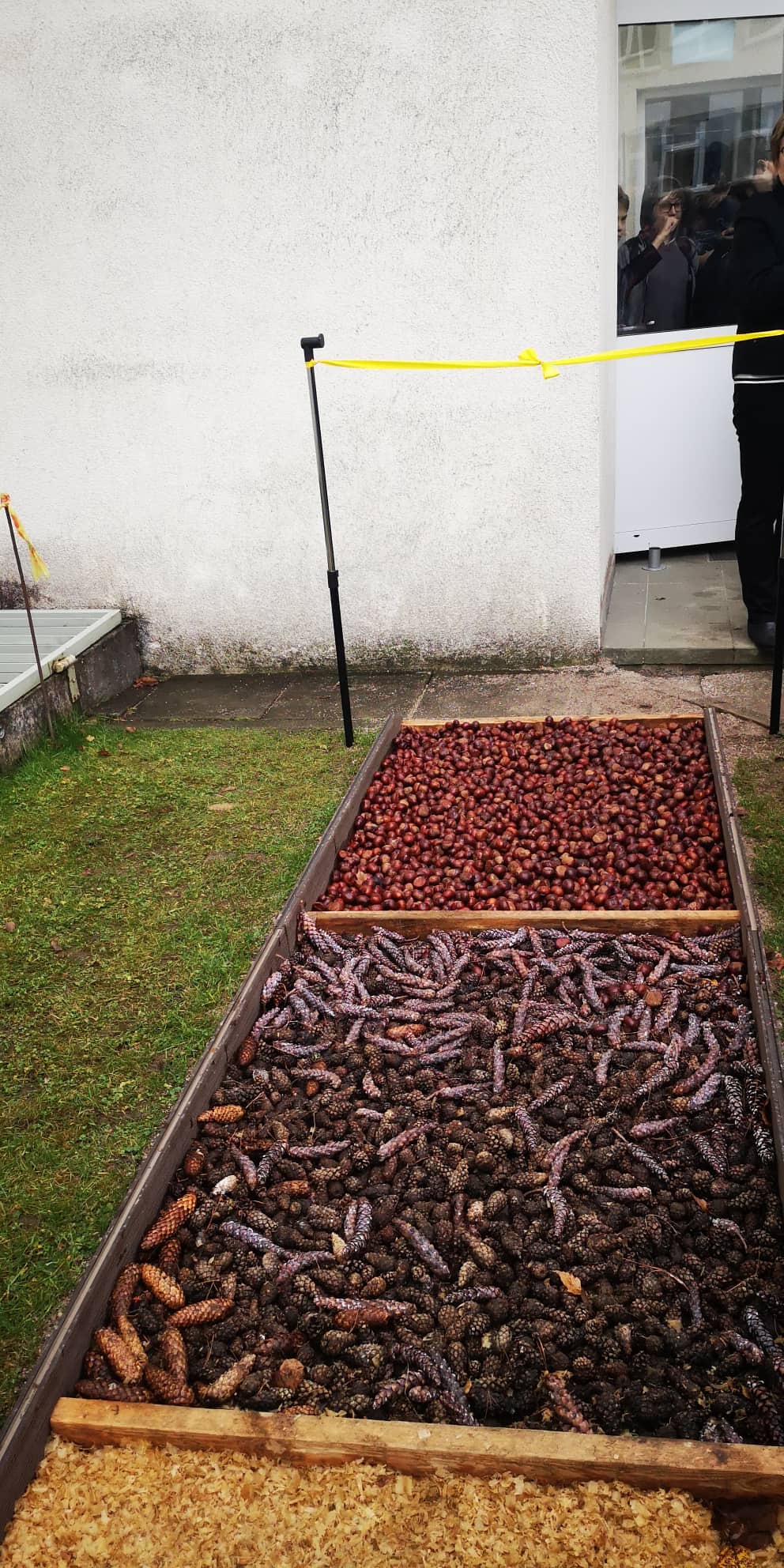 313202897_516578040047634_24475774538857464_n