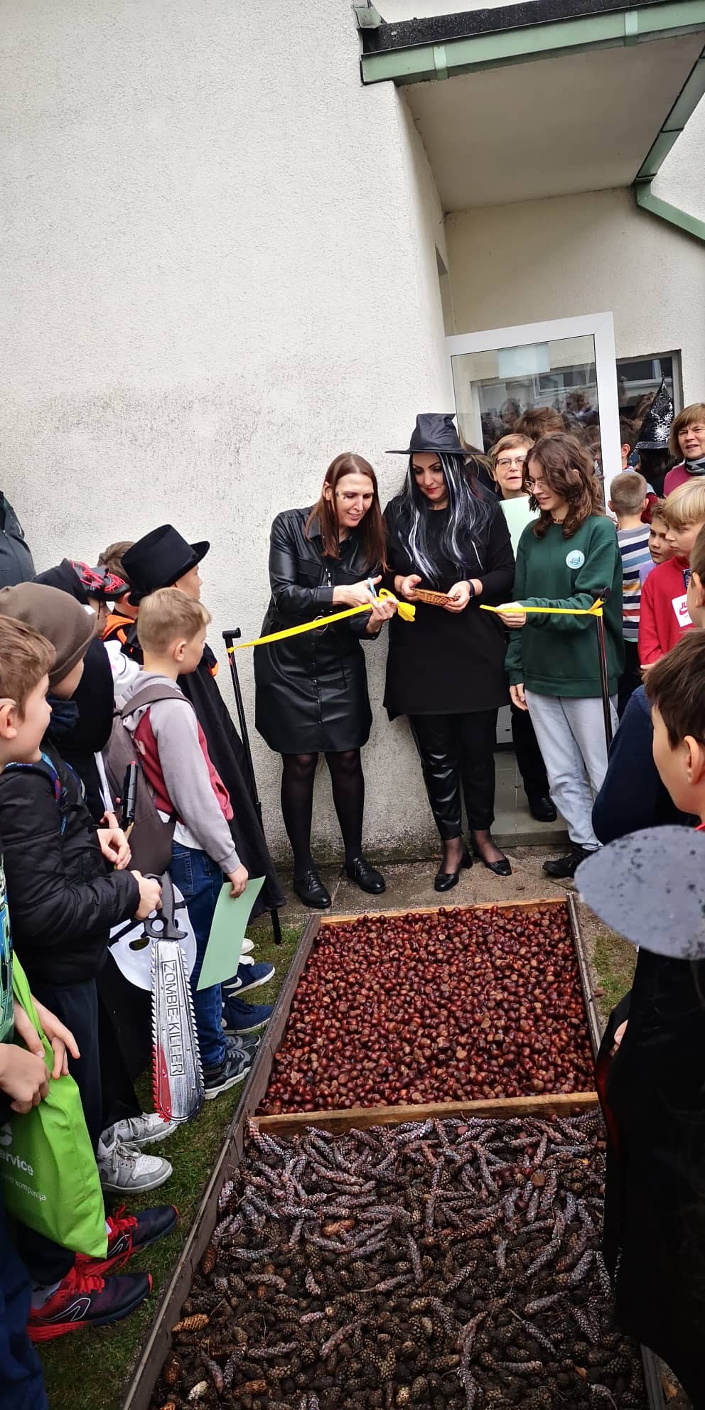 313212047_477832267657284_8159619748206324269_n