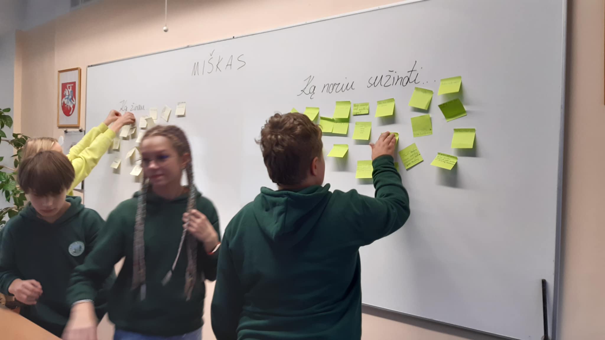 314451410_608737394383008_7512968249336489474_n