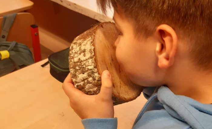 314503096_608737377716343_2634170875971707249_n 314503096_608737377716343_2634170875971707249_n