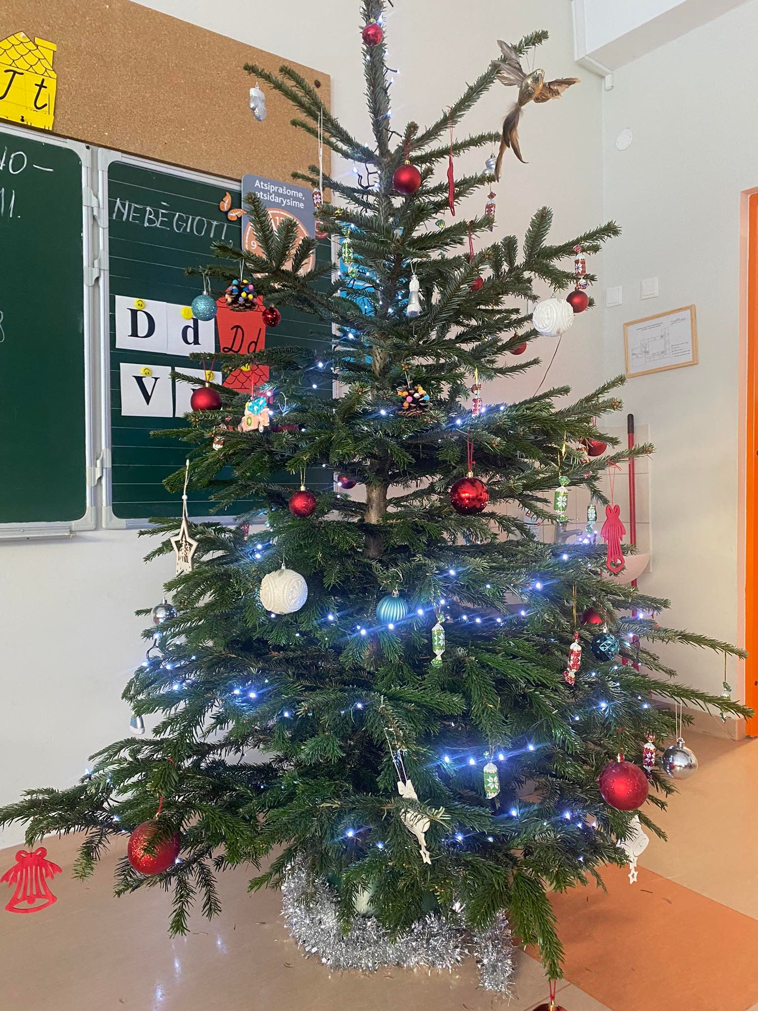 318091389_541539497612535_7193180810402633282_n