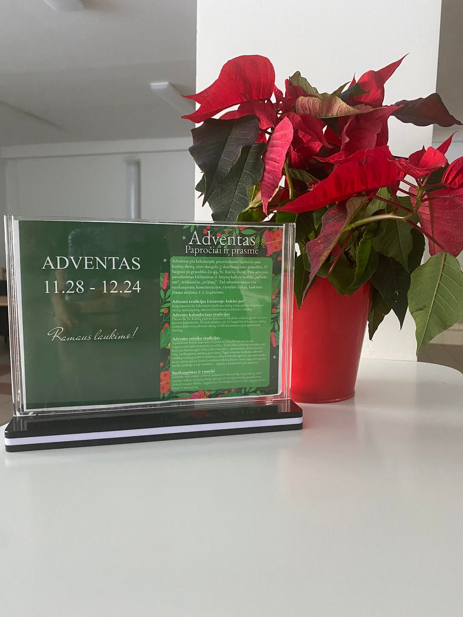 318549950_550194309991707_1520286977649793794_n