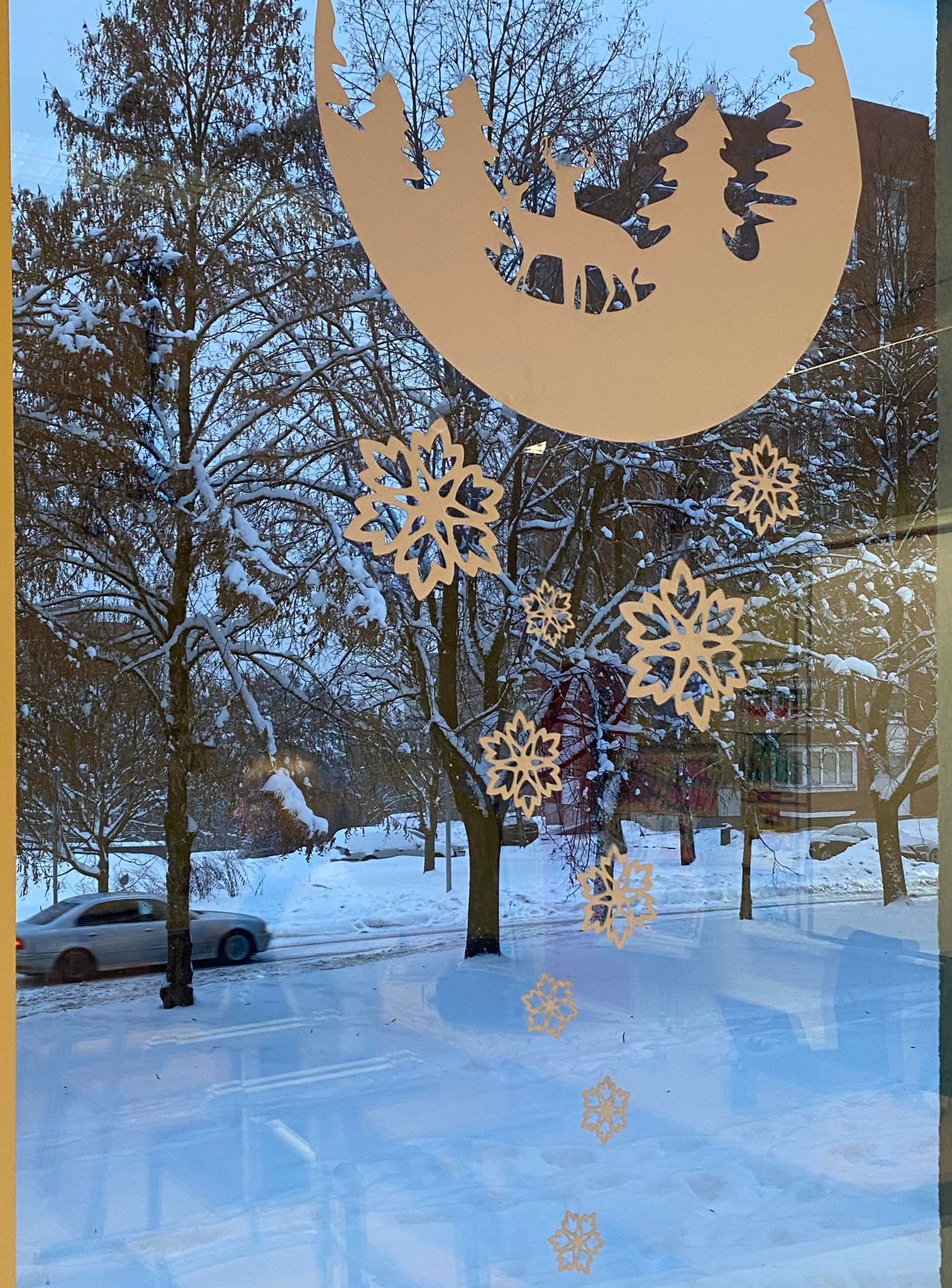 318555071_743301674027146_7472477308538100596_n