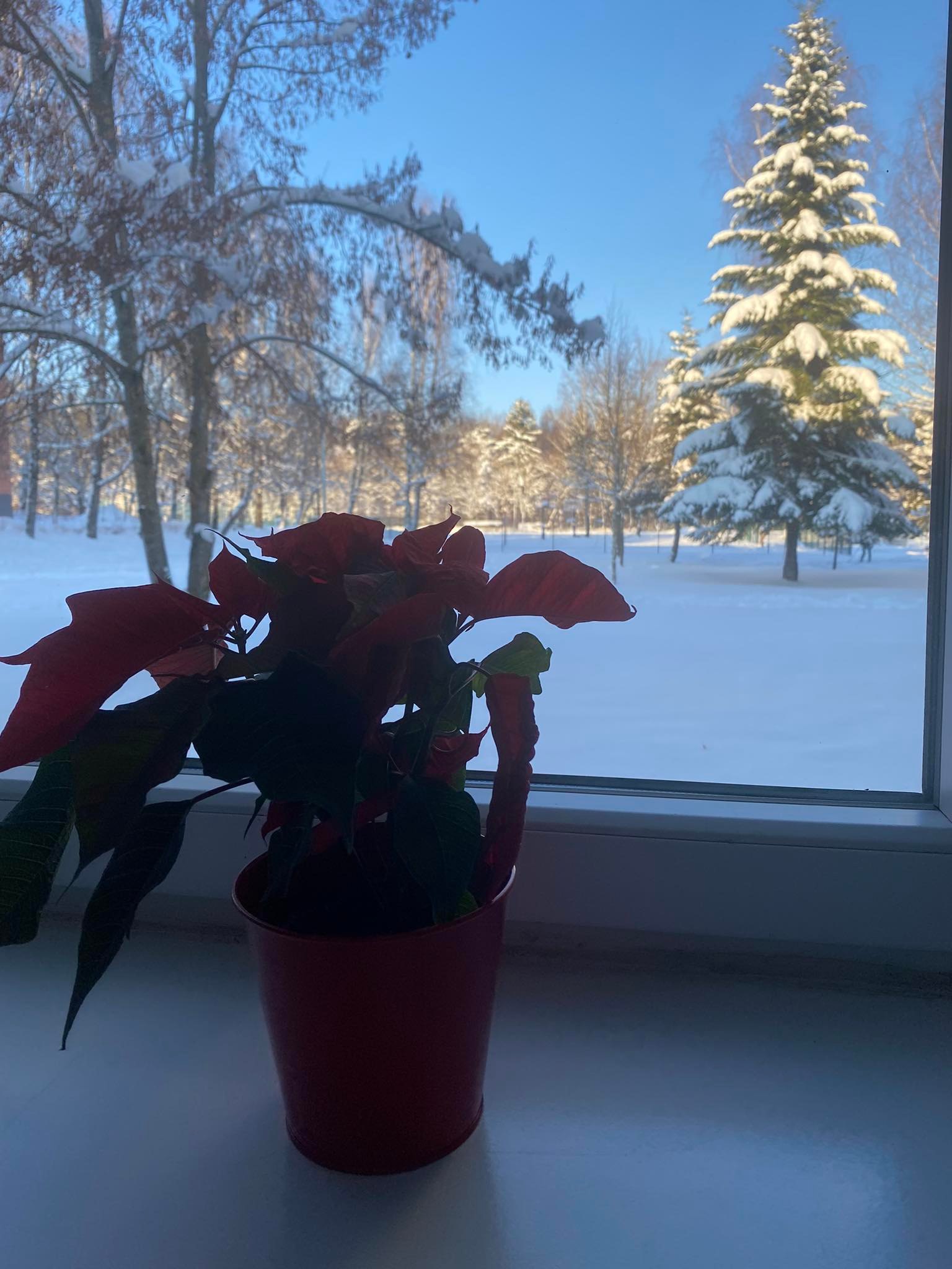 318560673_2495882844044324_9075913044488623760_n